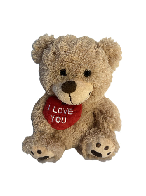 Plush teddy bear with a red heart saying 'I Love You' on a white background