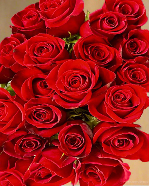Flower Bouquet delivery of red roses available.
