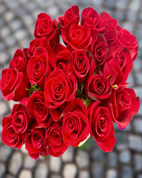 Bouquet of red roses with a blurred background. gift perfect and flower delivery ready.